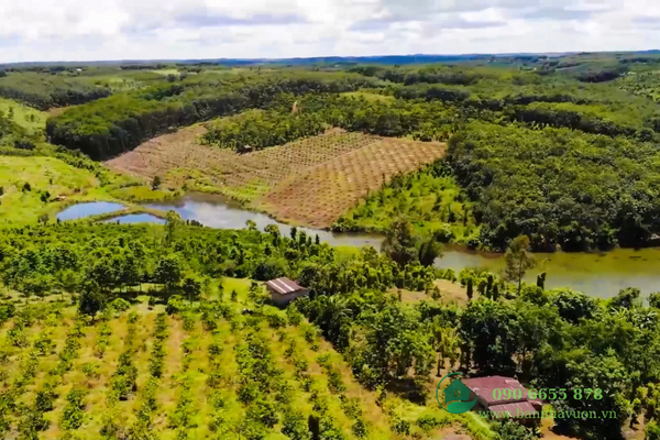 Đất rẫy view hồ xã Đắk Nông, nguồn thu mạnh, giá chưa qua đầu tư
