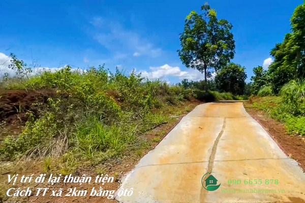 Đất rẫy view hồ xã Đắk Nông, nguồn thu mạnh, giá chưa qua đầu tư
