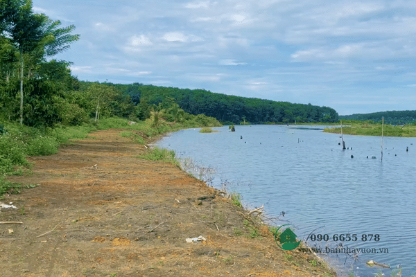 Đất Đắk Nông View Hồ, 5ha đất vườn nguồn thu mạnh, 250m mặt tiền hồ
