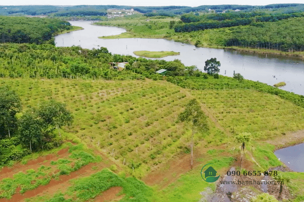 Đất Đắk Nông View Hồ, 5ha đất vườn nguồn thu mạnh, 250m mặt tiền hồ