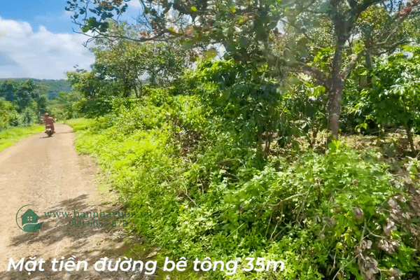 Đất vườn Đắk Nông, đường bê tông gần trung tâm, ~1ha, ao cá,nhà cửa đầy đủ, nguồn thu tốt
