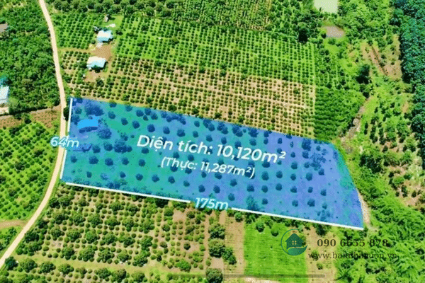 1.1ha đất vườn sầu riêng nguồn thu mạnh, liền kề thác 5 tầng Đắk Nông