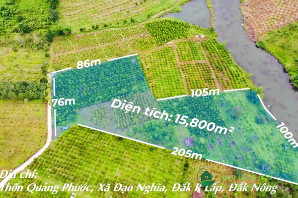 Đất rẫy view hồ Đắk Nông, nguồn thu mạnh, giá chưa qua đầu tư