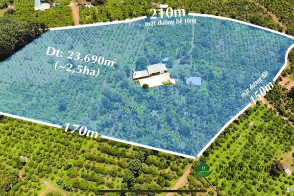 2,37 ha đất rẫy Đắk Nông, 2 mặt tiền, giá chưa qua đầu tư,nguồn thu mạnh