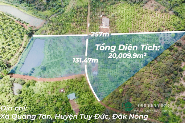 2,1ha đất vườn Đắk Nông, 2 mặt tiền, nguồn thu mạnh