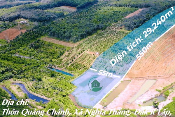 Đất Vườn Đắk Nông, 3ha xã Nghĩa Thắng, huyện Đắk R'Lấp, nguồn thu đa dạng, sầu riêng, cà phê, tiêu