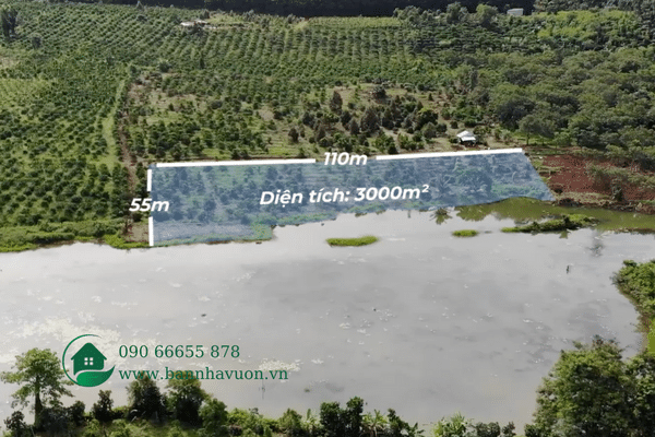 Đất Đắk Nông View Hồ, 3000m² đất rẫy, mặt tiền đường 110m. Xã Đắk Sin, huyện Đắk R'Lấp,tỉnh Đắk Nông