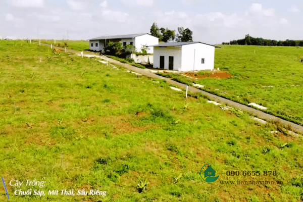 85.876m2 đất vườn view suối lớn, đầu tư kỹ về nhà vườn, giá cực tốt