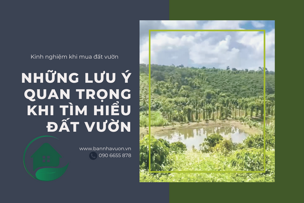 Kinh nghiệm khi mua đất vườn, những lưu ý quan trọng khi tìm hiểu đất vườn