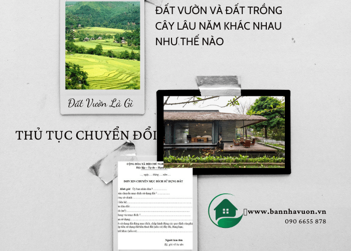 Đất Vườn là gì ? Đất vườn và đất trồng cây lâu năm khác nhau như thế nào? Thủ tục chuyển đổi